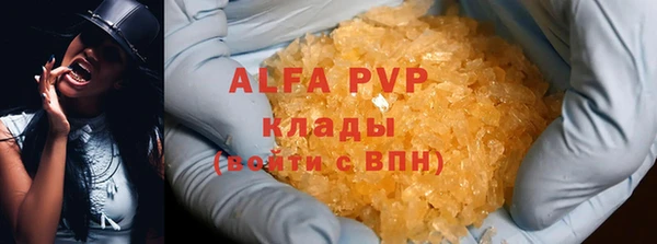 ПСИЛОЦИБИНОВЫЕ ГРИБЫ Галич