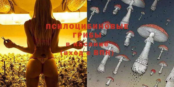 a pvp Снежногорск