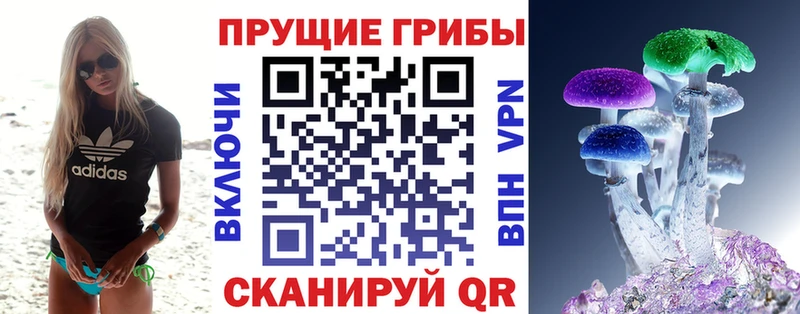 магазин продажи наркотиков  Верея  kraken маркетплейс  Галлюциногенные грибы мухоморы 